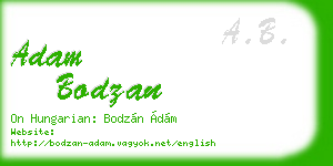 adam bodzan business card